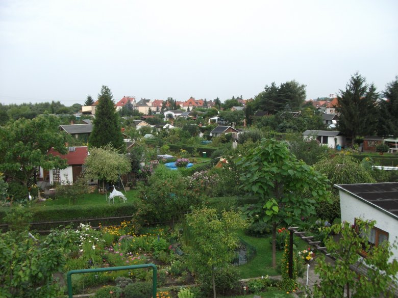 Image 4 