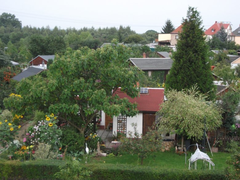 Image 3 