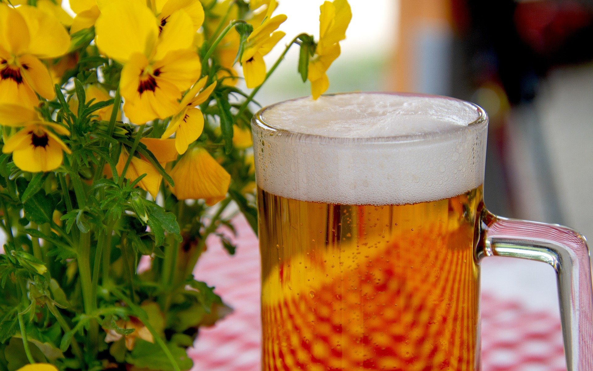 Party Bier