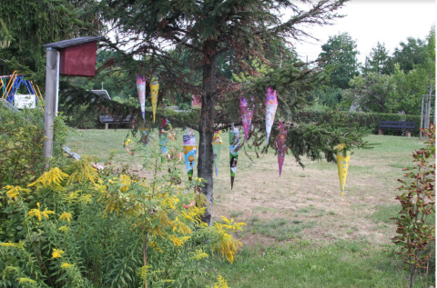 Image 0